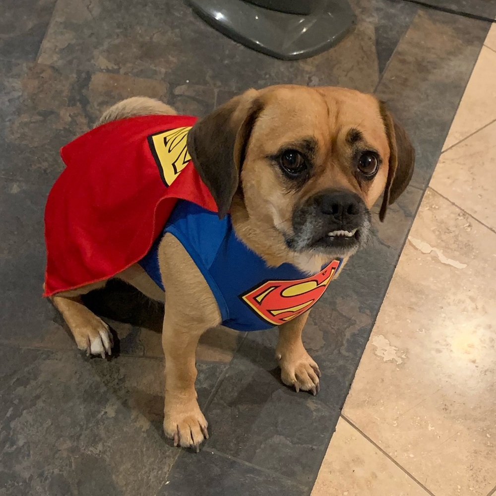 Meet your Posher, Steven